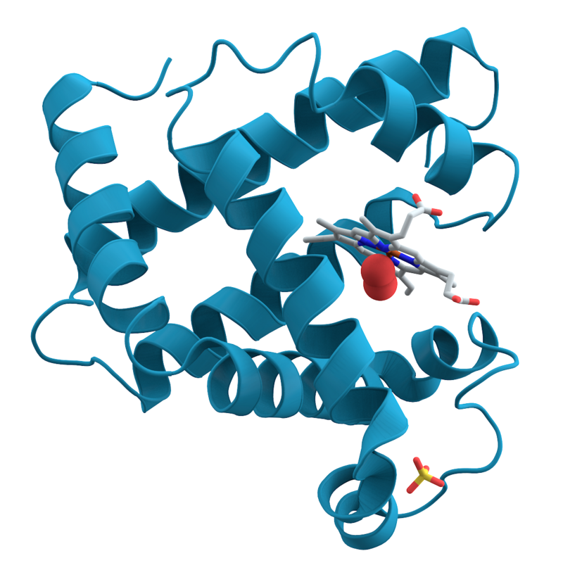 Alt text for this dictionary's image